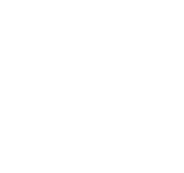 FS